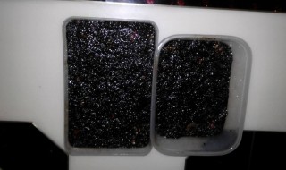 阿胶可以放冰箱冷冻吗（阿胶可以放在冰箱里面冷冻吗）