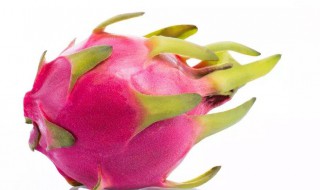 火龙果用放冰箱吗（火龙果用放冰箱吗）