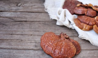 灵芝粉可以放冰箱吗 灵芝可以放冰箱吗?