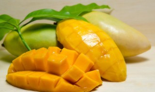 大芒果可以放冰箱吗 大芒果可以放冰箱吗?