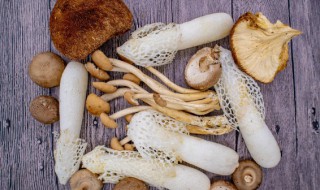 菇放冰箱几天了还能吃吗（菇放冰箱几天了还能吃吗）