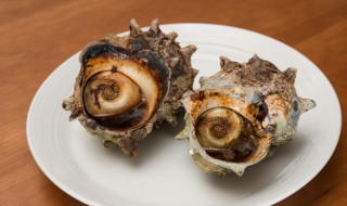 海螺能放冰箱冷冻吗 海螺能冷冻存放吗