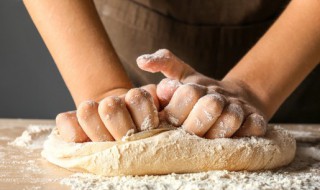 面粉可以放冰箱发酵吗 面粉放冰箱能发酵吗