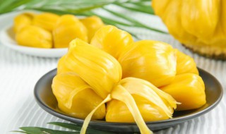 菠萝蜜放冰箱吗 菠萝蜜用放冰箱吗