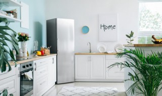 黄豆芽可以放冰箱吗 黄豆芽可以放冰箱吗保存多久