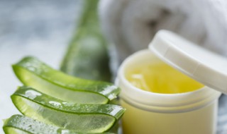 芦荟胶可以放冰箱里吗 芦荟胶可不可以放在冰箱里