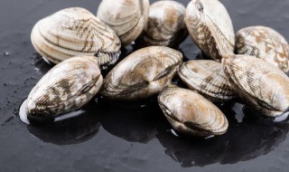 夏天花甲要放冰箱吗（夏天花甲要放冰箱吗多少度）