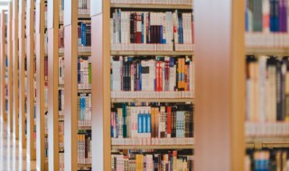 sdl是什么意思 sdl是什么意思网络用语