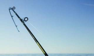 鱼竿调性是什么意思 鱼竿调性是什么意思MH