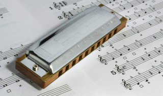 狂人日记歌词（狂人日记歌词是什么意思）