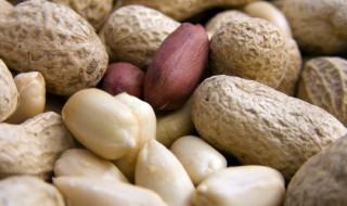 新鲜花生发芽还能吃吗（新鲜花生发芽了还可以吃吗）