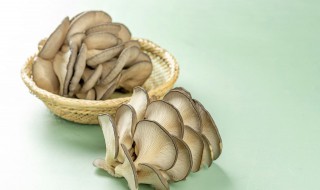 蘑菇发霉能吃吗（蘑菇发霉能吃吗有毒吗）