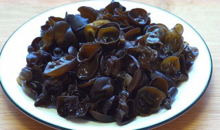 木耳怀孕能吃吗 孕妇黑木耳可以吃吗