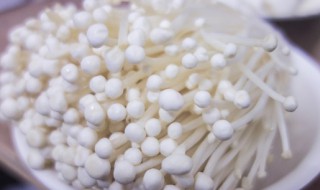 金针菇发黄还能吃吗（金针菇发黄还能吃吗）