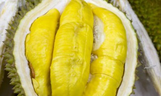 榴莲是苦的能吃吗（榴莲是苦的能吃吗有毒吗）