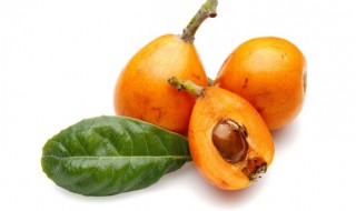 枇杷孕妇能吃吗（怀孕可以吃枇杷果吗早期）