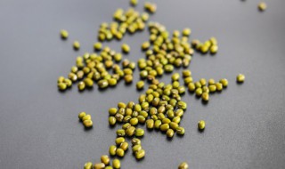 绿豆发芽了还能吃吗（绿豆发芽了还能吃吗有毒吗）