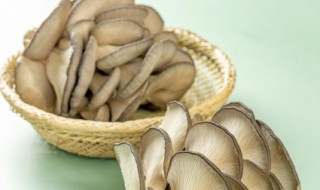 平菇发白还能吃吗（平菇发白怎么回事）