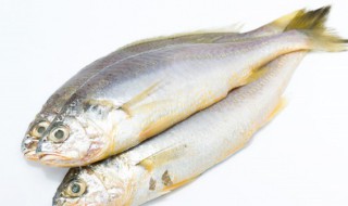 鱼死了还能吃吗（钓的鱼死了还能吃吗）