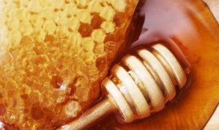 蜂胶过期还能吃吗 纯蜂胶怎么吃效果最好