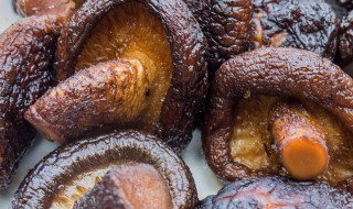 香菇发黑还能吃吗（新鲜香菇发黑还能吃吗）