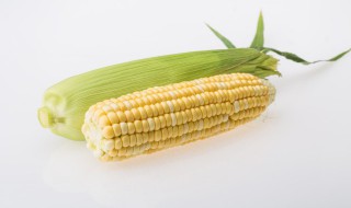 玉米如何长期存放（玉米如何长期存放好）