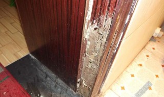 如何防白蚁入屋 如何防范白蚁进屋