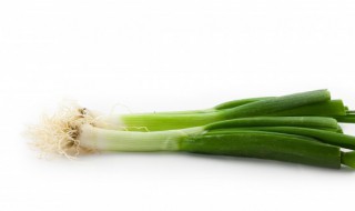 大葱移栽时间和方法 大葱几月份移栽最好