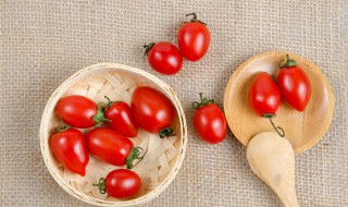 种植番茄需要注意什么 小西红柿怎样打叉掐尖图解