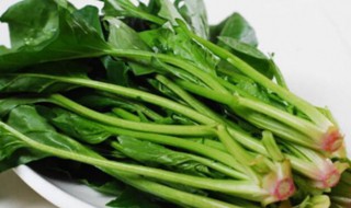 谷雨种什么菜好（谷雨种啥）