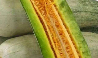 羊角蜜的籽为什么是苦的（羊角蜜的籽苦的怎么回事）