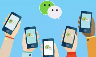 微信怎么改性别（微信怎么改性别不显示）