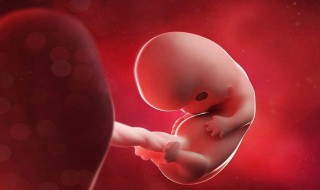 正确的孕周计算方法 正确的孕周计算方法图片