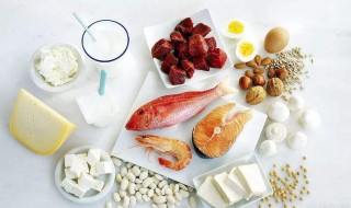 蛋白质食物 蛋白质食物一览表