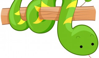 做梦被蛇咬 做梦被蛇咬了然后把蛇杀了