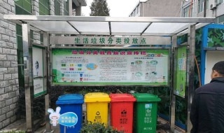 垃圾分类有生活垃圾还有什么（垃圾分为生活垃圾还有什么垃圾）