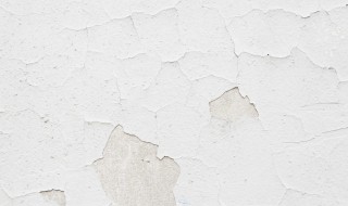 墙皮冒碱的补救方法（墙皮冒碱的补救方法有哪些）