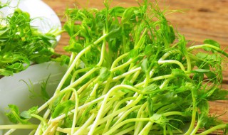 无须豌豆苗种植方法 无须豌豆苗种植方法图片