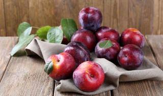 怎么种脆李子的方法 怎么种脆李子的方法图解