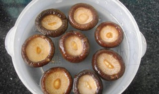 快速浸泡香菇的方法 快速浸泡香菇的方法窍门