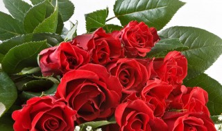 九个方法增强记忆力 九个方法增强记忆力 如何记东西又快又牢