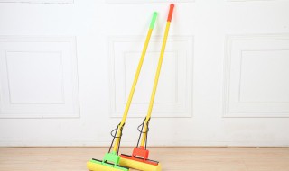 海绵托把的清洗方法 海绵托把,托完需要泡水吗?