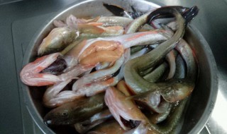 粘鱼怎么处理怎么做（粘鱼怎么做好吃法）