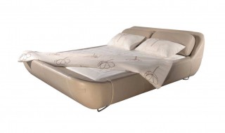 皮床生小虫怎么处理 皮床生虫子是什么虫子