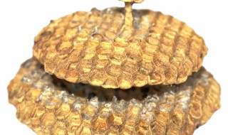 快速消灭蜂窝的方法（快速消灭蜂窝的方法有哪些）