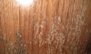 木制家具容易发霉怎么处理（木制家具容易发霉怎么处理好）
