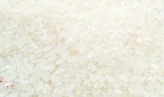 大米里有飞虫怎么处理 大米里有飞虫怎么办