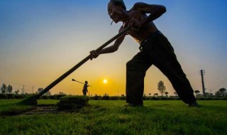小草用什么方法除掉 小草怎样