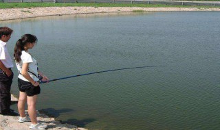 鱼池中有青苔怎么处理（鱼池中有青苔怎么处理掉）