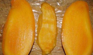 芒果种子怎么处理发芽（芒果种子怎么处理发芽的）